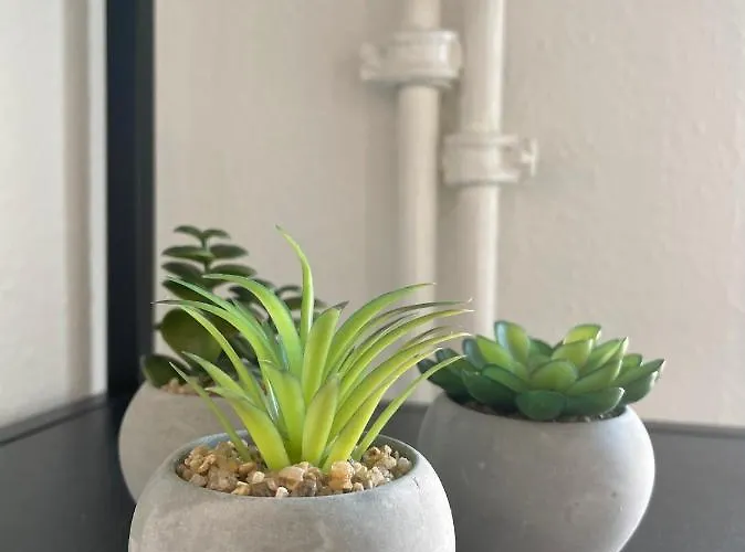 Grosszuegige Altstadt-ferienwohnung 