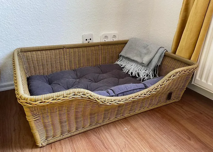 Grosszuegige Altstadt-ferienwohnung 